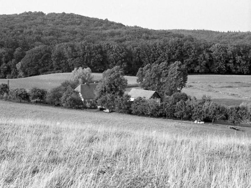 Das schwarz-weiße Lichtbild zeigt den Blick ins Tal. Dort stehen zwei Häuser, die unbefestigten Wegen werden von Bäumen gesäumt. Danach steigt wieder ein Hügel an, der dicht bewaldet ist.