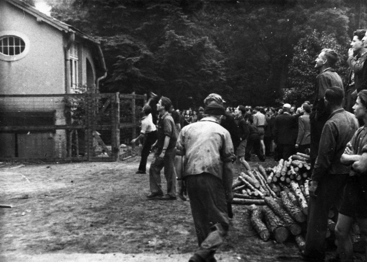 Stürmung der Kreisdienststelle der Staatssicherheit in Niesky am 17. Juni 1953. Auf dem Schwarz-Weiß-Bild sieht man eine Gruppe von Menschen, die sich vor einem umzäunten Haus versammelt hat. Im Vordergrund stehen junge Männer, die ihren Blick auf das Gebäude richten. Neben ihnen liegt ein kleiner Haufen Holzscheite. Einer der Männer wirft einen Stein.