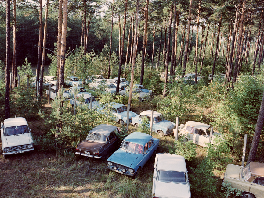 Das Bild zeigt mehrere Fahrzeuge, die in einem Wald zwischen Nadelbäumen geparkt wurden.