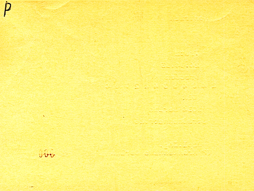 [Die Rückseite des gelben "Formblatts 16" ist unbedruckt. Handschriftlich wurde ein P in die linke obere Ecke vermerkt.]